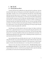 Tìm hiểu thị trường và giá cả gạo xuất khẩu của Việt Nam