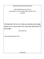 Cấu trúc vốn và hiệu quả hoạt động doanh nghiệp nghiên cứu các công ty niêm yết trên sở giao dịch chứng khoán TP hồ chí minh 