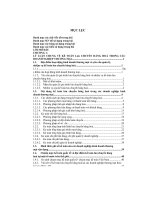 Hoàn thiện kế toán lưu chuyển hàng hoá tại công ty cổ phần dược phẩm thiết bị y tế hà nội HAPHARCO 