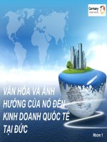 VĂN HÓA VÀ ẢNH HƯỞNG CỦA NÓ ĐẾN KINH DOANH QUỐC TẾ TẠI ĐỨC
