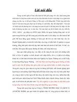 KHÁI QUÁT VỀ QUÁ TRÌNH HÌNH THÀNH, PHÁT TRIỂN VÀ HOẠT ĐỘNG NHẬP KHẨU CÔNG TY TNHH THƯƠNG MẠI & DỊCH VỤ AN HƯNG THỊNH