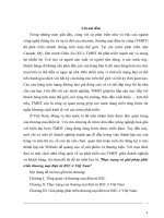 Thực trạng và giải pháp pháttriển thương mại điện tử B2C ở Việt Nam