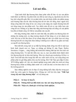 Thất bại trong việc mở rộng thương hiệu