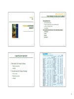 Lecture multinational financial management chapter 6   ngo thi ngoc huyen 