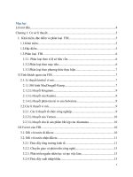 Tăng cường thu hút FDI vào tây bắc, việt nam 