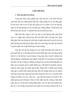 Môi trường trong việc phát triển bền vững ở Việt Nam – Thực trạng và giải pháp