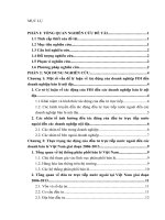 Tác động của các doanh nghiệp vốn đầu tư nước ngoài đến các doanh nghiệp bán lẻ việt nam 