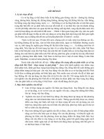 Huy động vốn trong đầu tư phát triển cơ sở hạ tầng tỉnh hà tỉnh   thực trạng và giải pháp (tt) 