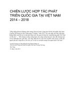chiến lược phát triển quốc gia tại việt nam 2014 2018 