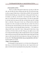 Đề tài: Tội chống người thi hành công vụ trong luật hình sự Việt Nam