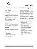 AN1043   unique features of the MCP23X0817 GPIO expanders 