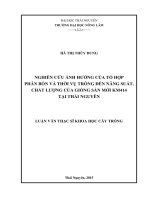 Nghiên cứu ảnh hưởng của tổ hợp phân bón và thời vụ trồng đến năng suất chất lượng của giống sắn mới KM414 tại thái nguyên 