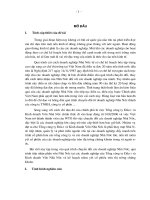 chuyển đổi mô hình doanh nghiệp 100% vốn nhà nước sang các công ty trách nhiệm hữu hạn và công ty cổ phần