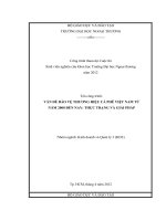 VẤN ĐỀ BẢO VỆ THƯƠNG HIỆU CÀ PHÊ VIỆT NAM TỪ NĂM 2000 ĐẾN NAY: THỰC TRẠNG VÀ GIẢI PHÁP