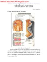 giải phẫu chức năng của tim ứng dụng trong siêu âm tim 