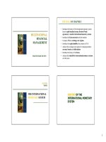 Lecture multinational financial management chapter 3   ngo thi ngoc huyen 