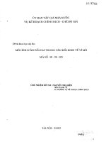 Mô hình cân đối giá trong cân đối kinh tế vĩ mô