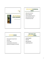 Lecture multinational financial management chapter 1   ngo thi ngoc huyen 