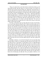 Luận văn tốt nghiệp: Một số biện pháp thúc đẩy kinh doanh hàng nhập khẩu ở Công ty Dược liệu Trung ương 1