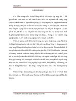 Tiểu luận Chính sách ngoại thương của UAE