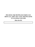 PHÁ BĂNG THỊ TRƯỜNG bất ĐỘNG sản ĐỘNG lực THÚC đẩy TĂNG TRƯỞNG KINH tế GIAI đoạn 2015 2020 