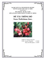 KĨ THUẬT NHÂN GIỐNG vô TÍNH cây TRỒNG đề tài THÔNG đỏ