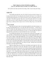 An toàn lao động tại các mỏ đá