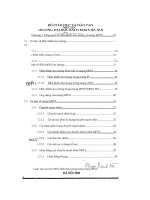 Điều khiển lưu lượng trong mạng MPLS 