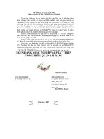 Phân tích thực trạng và định hướng phát triển kinh doanh dịch vụ tại ngân hàng nông nghiệp và phát triển nông thôn chi nhánh quận cái răng 