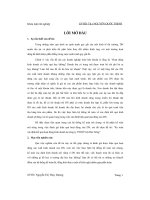 Kế toán xác định kết quả hoạt động kinh doanh công ty TNHH việt hóa nông 