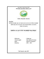 Đánh giá hiệu quả sử dụng đất sản xuất nông nghiệp trên địa bàn xã hưng đạo, t p cao bằng, tỉnh cao bằng