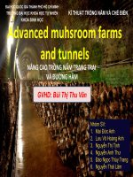 NÂNG CAO TRỒNG NẤM TRANG TRẠI VÀ ĐƯỜNG HẦM