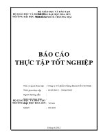 THỰC TRẠNG VÀ GIẢI PHÁP NÂNG CAO NĂNG LỰC CẠNH TRANH CHỨNG KHOÁN CỦA CÔNG TY CỔ PHẦN CHỨNGKHOÁN HỒ CHÍ MINH