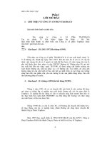 Đánh giá, nhận xét và một số kiến nghị sơ bộ về tố chức hạch toán kế toán tại công ty cổ phần traphaco 