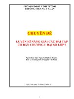 LUYỆN KĨ NĂNG GIẢI CÁC BÀI TẬP CƠ BẢN CHƯƠNG I ĐẠI SỐ LỚP 9