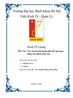 Báo cáo kinh tế lượng : Các yếu tố ảnh hưởng đến kết quả hoạt động của nhóm của sinh viên