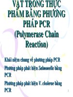 phát hiện vi sinh vật trong thực phẩm bằng phương pháp pcr