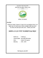 Đánh giá thực trạng và đề xuất giải pháp nâng cao hiệu quả sử dụng đất nông nghiệp trên địa bàn xã chi lăng – huyện chi lăng – tỉnh lạng sơn 