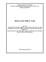 ĐỊNH HƯỚNG NGHỀ NGHIỆP VÀ HÔN NHÂN CHO CON CỦA HỘ GIA ĐÌNH CƯ DÂN VEN BIỂN TRONG NỀN KINH TẾ THỊ TRƯỜNGHIỆN NAY