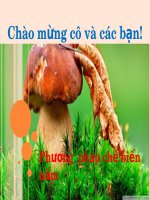 phương pháp chế biến nấm