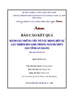 ĐÁNH GIÁ NHỮNG YẾU TỐ TÁC ĐỘNG ĐẾN SỰ LÂY NHIỄM HIV/AIDS TRONG NGÀNH THỦYLÂY NHIỄM HIV/AIDS TRONG NGÀNH THỦY SẢN TỈNH AN GIANG SẢN TỈNH AN GIANG