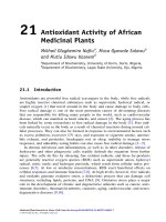Nghiên cứu về hoạt tính chống oxy hóa của các cây thuộc African Antioxidant Activity of African Medicinal Plants