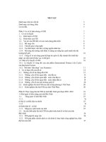 Thực trạng và giải pháp nhằm nâng cao khả năng thu hút vốn đầu tư trực tiếp nước ngoài trong lĩnh vực công nghiệp của tỉnh bắc ninh 