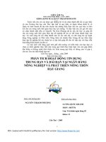 Phân tích hoạt động tín dụng trung hạn và dài hạn tại ngân hàng nông nghiệp và phát triển nông thôn hậu giang 