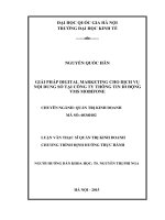 Luận văn ths  kinh doanh và quản lý giải pháp digital marketing cho dịch vụ nội dung số tại công ty thông tin di động VMS MOBIFONE 