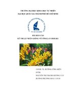 BÀI BÁO CÁO KỸ THUẬT NHÂN GIỐNG vô TÍNH LAN MOKARA 