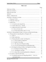 luận văn thạc sĩ vật lý nghiên cứu màng điện cựu