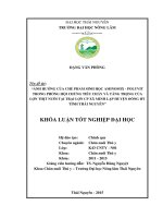 Ảnh hưởng của chế phẩm sinh học aminomix   polyvit trong phòng hội chứng tiêu chảy và tăng trọng của lợn thịt nuôi tại trại lợn CP xã minh lập, huyện đồng hỷ, tỉnh thái nguyên 