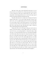 Tổ chức công tác kế toán hàng hóa và tiêu thụ hàng hoá tại công ty TNHH nguyên liên 