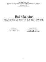 Bài báo cáo:NHÂN GIỐNG VÔ TÍNH VÀ HỮU TÍNH CÂY TRE